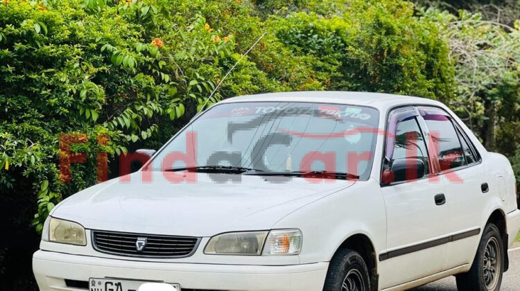 Toyota Corolla FAC-SA-25SE-260032