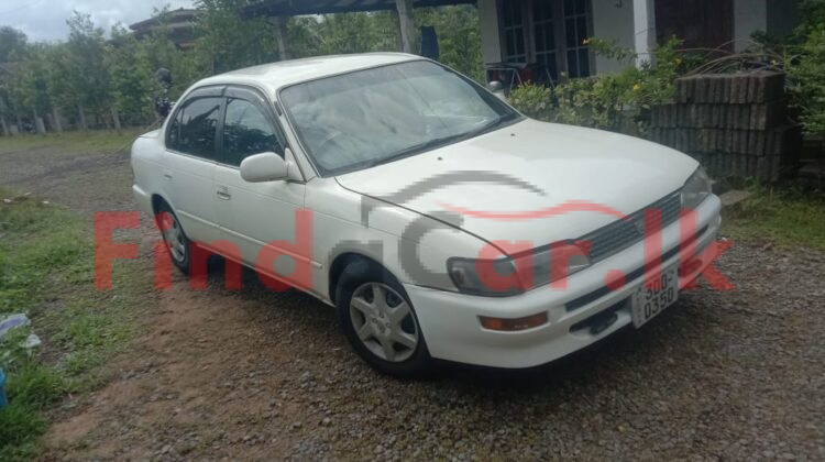 Toyota Corolla FAC-SA-25SE-300049