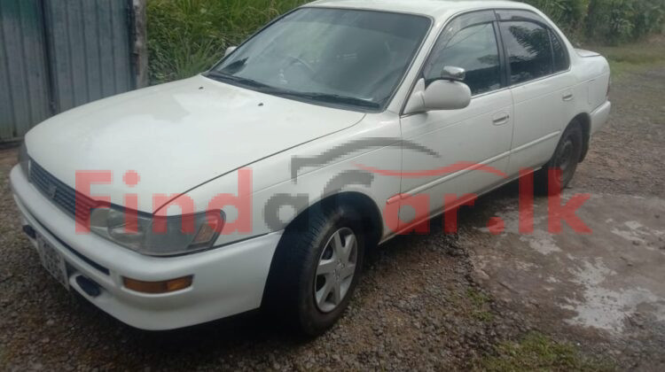 Toyota Corolla FAC-SA-25SE-300049