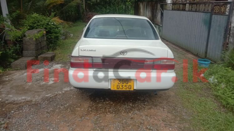 Toyota Corolla FAC-SA-25SE-300049