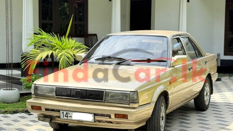 Nissan Sunny FAC-SA-25OC-110103