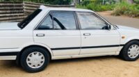 Nissan Sunny FAC-SA-25OC-210140