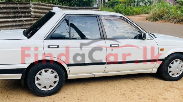 Nissan Sunny FAC-SA-25OC-210140