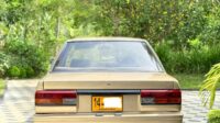 Nissan Sunny FAC-SA-25OC-110103