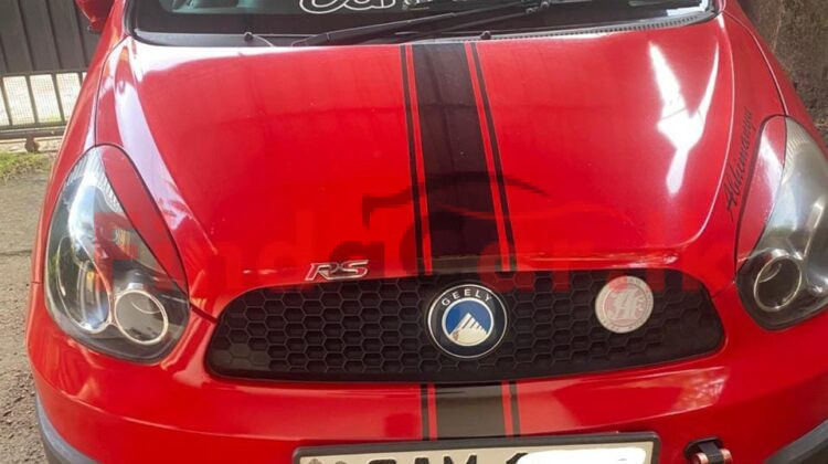 Micro Panda Cross FAC-SA-25NO-130226