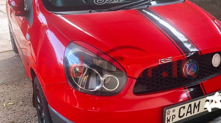 Micro Panda Cross FAC-SA-25NO-130226