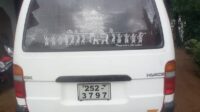 Dolphin Van | FAC-SA-26JN-220321