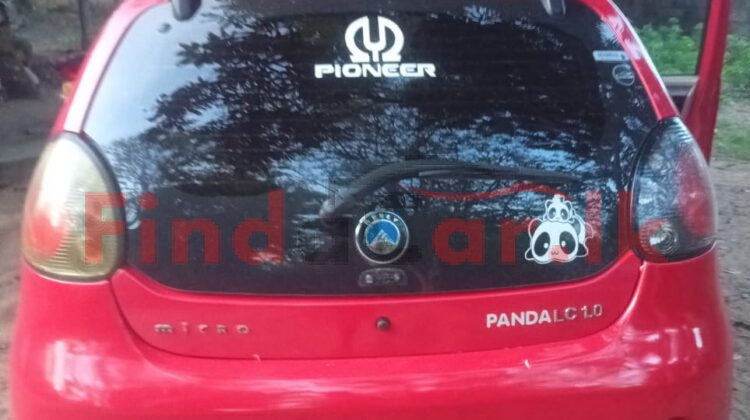 Micro panda | FAC-SA-26JL-070413