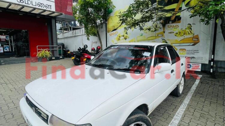 Nissan FB 13 | FAC-SA-26JL-140445