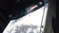 Nissan sunny | FAC-SA-26JL-160455