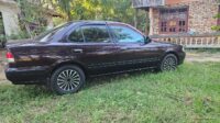 Nissan supper saloon fb 15
